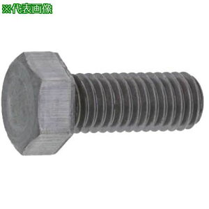 ��SUNCO ���`�Z�p�{���g �S�l�W ������ 8×20 (300�{��)�k�i��:B000K5000080020000�l�y2524168:0�z[�����ʓr���ς�][�f�O���][�X�����s��]