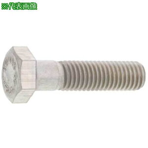 ��SUNCO SUS8.8 �Z�p�{���g ���l�W(BUMAX 20X100(�n�� (10�{��)�k�i��:B012M3100200100000�l�y2529481:0�z[�����ʓr���ς�][�f�O���][�X�����s��]