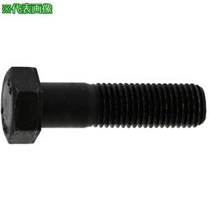 ��SUNCO �N�����[�g 8.8 �Z�p�{���g ���l�W 16X90 (30�{��)�k�i��:B00003100160090002�l�y2530364:0�z[�����ʓr���ς�][�f�O���][�X�����s��]