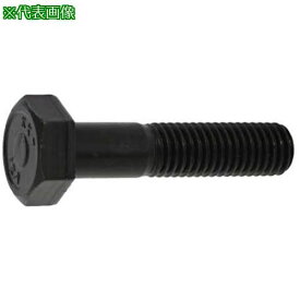 ■SUNCO クローム 12.9 六角ボルト 14X45 (50本入)〔品番:B00002000140045006〕【2531891:0】[送料別途見積り][掲外取寄][店頭受取不可]