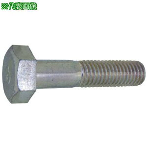 ��SUNCO �N����-�g 8�}�[�NBT(���l�W 12X40 (70�{��)�k�i��:B00080100120040002�l�y2544690:0�z[�����ʓr���ς�][�f�O���][�X�����s��]