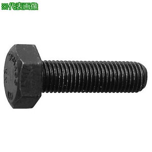 SUNCO 10.9 Zp{g SlW ז 12X50(1.25 (60{)ki:B00004540120050000ly2547809:0z[ʓrς][fO][Xs]