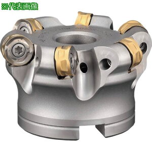 ���_�C�W�F�b�g �G�N�X�g���[���_�C���C�g BODY�k�i��:EXTDM6063R1222�l�y2548917:0�z[�@�l�E���Ə�����][������][�X�����s��]