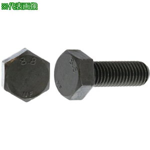 ��SUNCO �N�����[�g 8.8 �Z�p�{���g ���{�t�@�X�i�[�� 12X55X30 (50�{��)�k�i��:B000F3000120055002�l�y2551180:0�z[�����ʓr���ς�][�f�O���][�X�����s��]