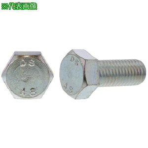 ��SUNCO �Z�p�{���g �S�l�W ���b�g��_�C���� 12X55 (50�{��)�k�i��:B000D0000120055000�l�y2551185:0�z[�����ʓr���ς�][�f�O���][�X�����s��]