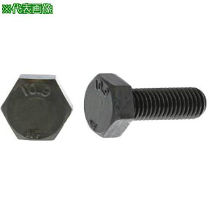 ��SUNCO �O���z���C�g 10.9 �Z�p�{���g ���{�t�@�X�i�[�� 12X115X30 (50�{��)�k�i��:B000F4000120115003�l�y2551714:0�z[�����ʓr���ς�][�f�O���][�X�����s��]