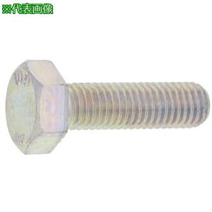 ��SUNCO �Z�p�{���g(���{�t�@�X�i�[��) (�S(�܂��͕W��)�EBC(���N�����[�g)�E�S�˂�) M10×35 (100�{��)�k�i��:B000F4500100035010�l�y2552470:0�z[�����ʓr���ς�][�f�O���][�X�����s��]