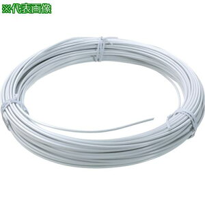 TRUSCO J[j rj[핢^Cv zCg #14 a2.0mm 1kgki:TCW20Wly2555696:0z[Xs]