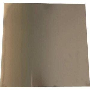 TRUSCO Vv[g XeX 0.5×50×50mmki:SISUS0.55050ly2564431:0z[Xs]