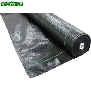 y݌ɌzTRUSCO hV[g ό1N  2mx100mki:TBO120100GNly2570876:0z[DS][Xs]