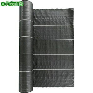 TRUSCO hV[g ό5N  2mx100mki:TBO520100BKly2570878:0z[DS][Xs]