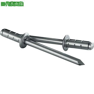 ��GESIPA �l�ߑւ��p���x�b�g PolyGrip[[R��]] �A���~/�X�`�[���� 50�{���� ��4.8mm×10mm�k�i��:1433850�l�y2578140:0�z[�X�����s��]