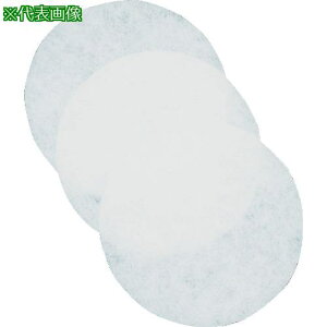 ��TRUSCO ���[�^�[�t�B���^�[ ��350mm 10�����k�i��:TM350S�l�y2579650:0�z[�X�����s��]