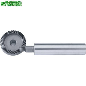 KHK nCVInC|ChMMHP1-0602Rki:MHP10602Rly2591687:0z[ʓrς][fO][Xs]