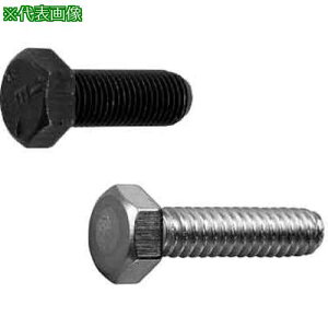 ��SUNCO �N����-�g �Z�p�{���g(UNF G-5 1/4X3/4 (550�{��)�k�i��:B00000408020806002�l�y2597272:0�z[�����ʓr���ς�][�f�O���][�X�����s��]