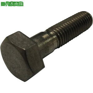 ���R�m�G �Z�p�{���g ���˂� �`�^�� M20x60�k�i��:BTTIH2060�l�y2613107:0�z[�����ʓr���ς�][�f�O���][�X�����s��]