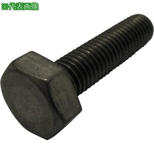 ���R�m�G �Z�p�{���g �S�˂� �`�^�� M5x12�s5�{���t�k�i��:BTTIF512�l�y2616176×5:0�z[�����ʓr���ς�][�f�O���][�X�����s��]