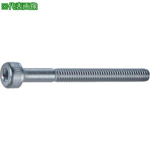 ��TRUSCO �Z�p���t�{���g �X�e�����X ���l�W M2.6X50 160�{�� �w�L�T�S���p�b�N /�L���b�v�{���g(CAP)�k�i��:S0782650�l�y2630961:0�z[�����ʓr���ς�][�@�l�E���Ə�����][�X�����s��]