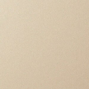 3M _CmbNtB lI VEǖʗp PF 1220mmX50mki:PS982NEOly2634904:0z[ʓrς][fO][Xs]