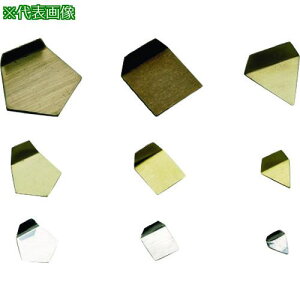 VIBRA E2PSO-500M:OIML^󕪓  500mg E2 JCSSZtki:E2PSO500Mly2669035:0z[ʓrς][@lEƏ][O][Xs]