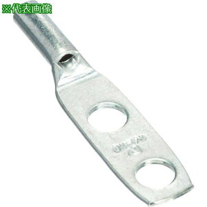 ��PANDUIT �������k�[�q 2�� �d���T�C�Y AWG10 ��t���T�C�Y 69mm ��t���Ԋu 191mm LCC10-14BW-L�k�i��:LCC1014BWL�l�y2673302:0�z[�����ʓr���ς�][�f�O���][�X�����s��]