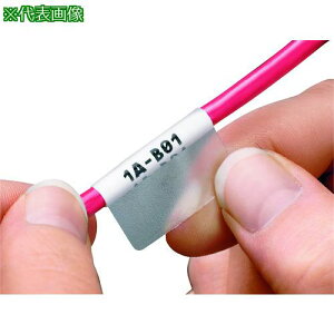 ��PANDUIT �M�]�ʃn���f�B�v�����^�p�Z���t���~�l�[�g���x�� �r�j�� �� �󎚕��c38.1mmx��25.4mm S100X650VAC�s10���t�k�i��:S100X650VAC�l�y2676476×10:0�z[�����ʓr���ς�][�f�O���][�X�����s��]