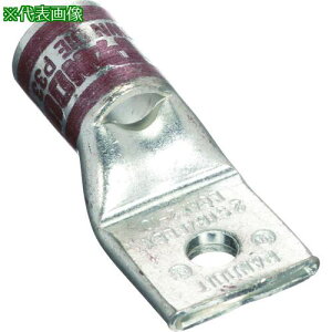 ��PANDUIT �������k�[�q 1�� �d���T�C�Y AWG2 ��t���T�C�Y 51mm LCAX2-10-E�k�i��:LCAX210E�l�y2676516:0�z[�����ʓr���ς�][�f�O���][�X�����s��]