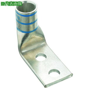 ��PANDUIT �������k�[�q 2�� �d���T�C�Y AWG6 ��t���T�C�Y 7.9mm ��t���Ԋu 25.4mm �o�����p�x 90�x LCDX6-56DF-L�k�i��:LCDX656DFL�l�y2679648:0�z[�����ʓr���ς�][�@�l�E���Ə�����][�f�O���][�X�����s