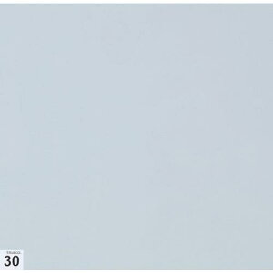 TRUSCO GA[V[pSV[g(Ȃ) 300X300 30 Sx ki:ASSF3030Wly2684985:0z[Xs]