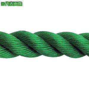 ܂ PPXpV[J[[v(3ł) 30mm×30m  hki:PPSPAN30X30GRNDRly2686490:0z[@lEƏ][O][Xs]