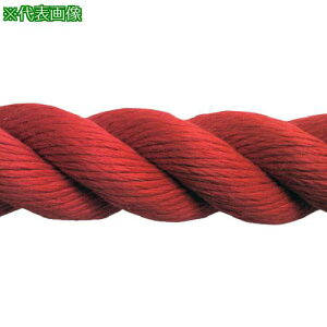 ܂ PPXpV[J[[v(3ł) 30mm×30m  hki:PPSPAN30X30REDDRly2686493:0z[@lEƏ][O][Xs]