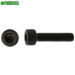 ��SUNCO 14.9CAP 6×10 (200�{��)�k�i��:A00002000060010000�l�y2698474:0�z[�����ʓr���ς�][�f�O���][�X�����s��]