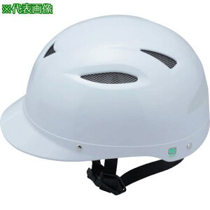 g[[Z[teB ]ԗpwbg MTCYki:NO.530Mly2698780:0z[Xs]