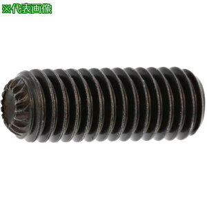 ��SUNCO HS(�M�U���t�� �A���u���R 12×12 (100�{��)�k�i��:A000505P0120012000�l�y2703213:0�z[�����ʓr���ς�][�f�O���][�X�����s��]