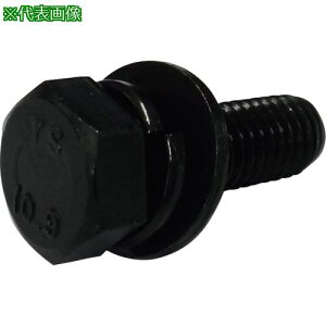 ���R�m�G 10.9�Z�p�g���[�}�g��I-3 ���F�_���햌 10x40 80�{���k�i��:BTI3109104080P�l�y2703485:0�z[�����ʓr���ς�][�f�O���][�X�����s��]