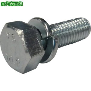���R�m�G 10.9�Z�p�g���[�}�g��P-2 �O���N�����[�g 6x20 400�{���k�i��:BTP21093W620400P�l�y2703509:0�z[�����ʓr���ς�][�f�O���][�X�����s��]