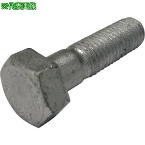 ���R�m�G 8.8���x�ۏ� �Z�p�{���g���˂� �n�Z�������b�L M24x70�k�i��:BT88HHDZ2470�l�y2705066:0�z[�����ʓr���ς�][�f�O���][�X�����s��]