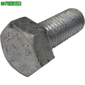 ���R�m�G 8.8���x�ۏ� �Z�p�{���g�S�˂� �n�Z�������b�L M24x60 20�{���k�i��:BT88FHDZ246020P�l�y2705098:0�z[�����ʓr���ς�][�f�O���][�X�����s��]