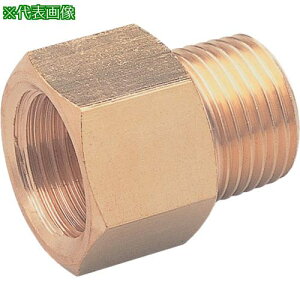��ASOH �ϊ����E�O�\�P�b�g C3604(RoHS�w�ߑ����i) PT1(�O)×PF1(��)�k�i��:NF4088R�l�y2708190:0�z[�����ʓr���ς�][�@�l�E���Ə�����][�f�O���][�X�����s��]