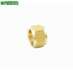 ��ASOH �z�[�X�W���C���g�p�܃i�b�g C3604(RoHS�w�ߑ����i) ��8(PF1/4)�k�i��:HSN1208R�l�y2708214:0�z[�����ʓr���ς�][�@�l�E���Ə�����][�f�O���][�X�����s��]
