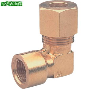 ��ASOH ���l�W�E�����O�G���{ C3604/C3771 PT3/8×��10�k�i��:RL5310�l�y2709769:0�z[�����ʓr���ς�][�@�l�E���Ə�����][�f�O���][�X�����s��]