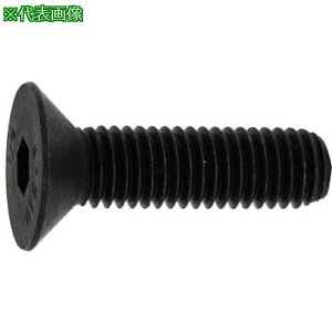 ��SUNCO �T��CAP �A���u���R 12×55 (50�{��)�k�i��:A000200P0120055000�l�y2718948:0�z[�����ʓr���ς�][�f�O���][�X�����s��]