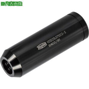 ���^���K���C �^���O�E�}�C�X�^�[�p�V�����N VSSD�k�i��:VSSD20L070S10S�l�y2868267:0�z[�����ʓr���ς�][�f�O���][�X�����s��]