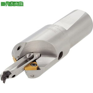 ���^���K���C �w�b�h�������h���� �h�����E�}�C�X�^�[ �ʎ��z���_ TIDCF�k�i��:TIDCF080W20�l�y2868650:0�z[�����ʓr���ς�][�f�O���][�X�����s��]