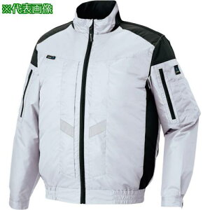 ACgX ՔMVF[ht󒲕u] (󒲕TM) tn[lXΉ Vo[ Ski:AZ50299003Sly2904149:0z[ʓrς][fO][Xs]