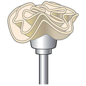 ���i�J�j�V �Z�[����o�t �J�b�v�^ 10�{�� ��25×10×����3�k�i��:53771�l�y2975041:0�z[�X�����s��]