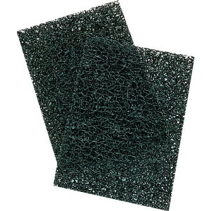 3M 芷pnhpbh(z_[961p) (nCvpbh)ki:961HPROly3034313:0z[Xs]