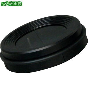 I[cJ {A[ypΌtB^[ki:BORELOUPEPLFILTERly3126405:0z[ʓrς][fO][Xs]