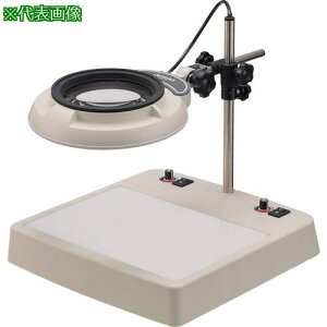 I[cJ LEDCg{bNXƖg勾 ENVL-CL^ 10{ki:ENVLCL10Xly3126667:0z[@lEƏ][O][Xs]