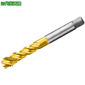 ��SANDVIK �R���^�b�v300 �X�p�C�����^�b�v(780) D125�k�i��:T300SD101DAM6�l�y3134298:0�z[�����ʓr���ς�][�f�O���][�X�����s��]